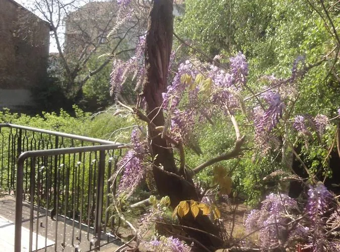 アパート Le Jardin Des Remparts コルマール